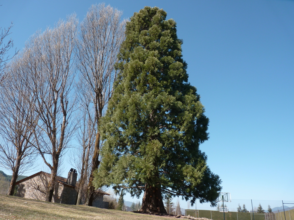 No s'ha trobat l'arxiu